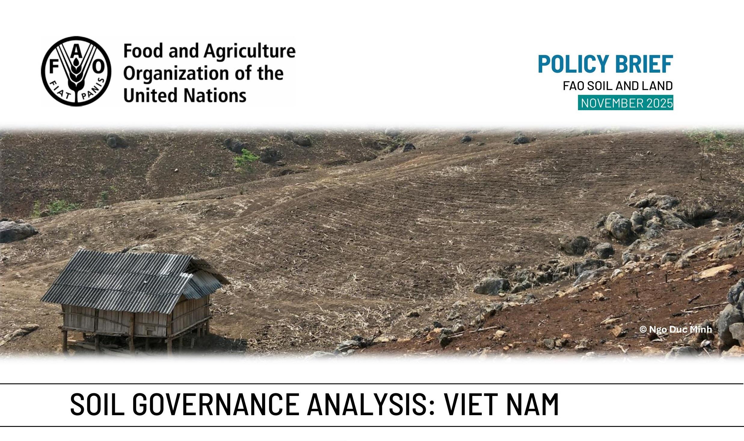 SOIL GOVERNANCE ANALYSIS: VIETNAM