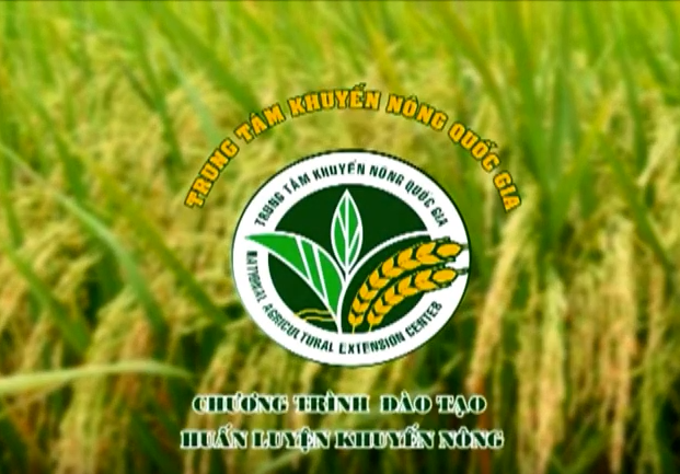 Technologies for bio-organic fertilizer production - SFRI